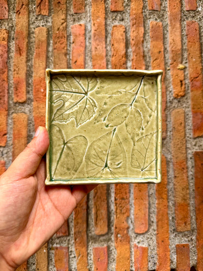 Square Leaf Coaster