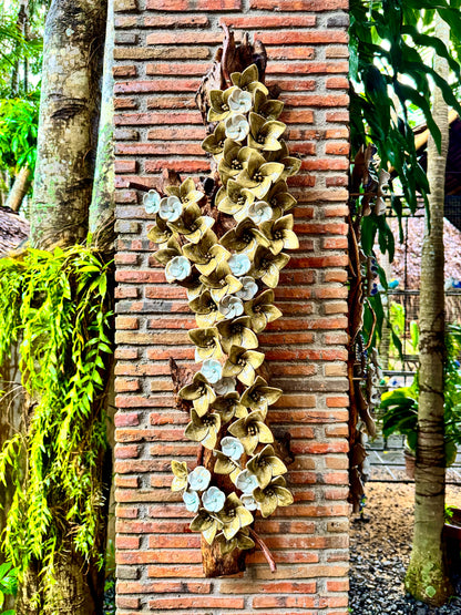Flower Wall Hang